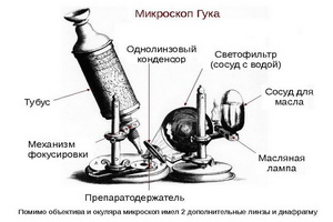 Первое использование микроскопа в медицине