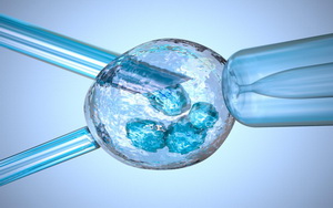 перенос эмбриона